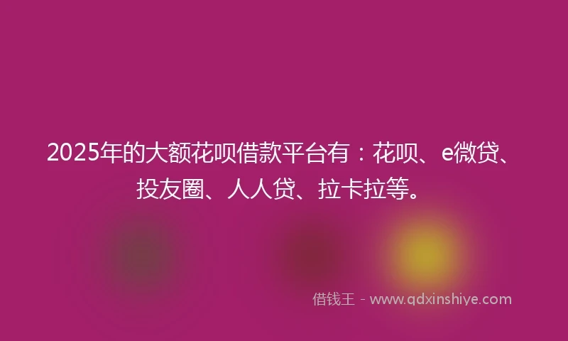 2025年的大额花呗借款平台有：花呗、e微贷、投友圈、人人贷、拉卡拉等。