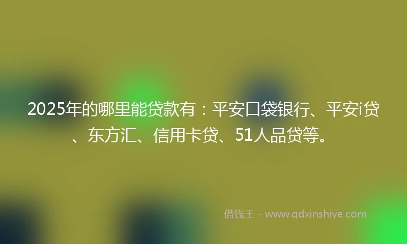 2025年的哪里能贷款有：平安口袋银行、平安i贷、东方汇、信用卡贷、51人品贷等。
