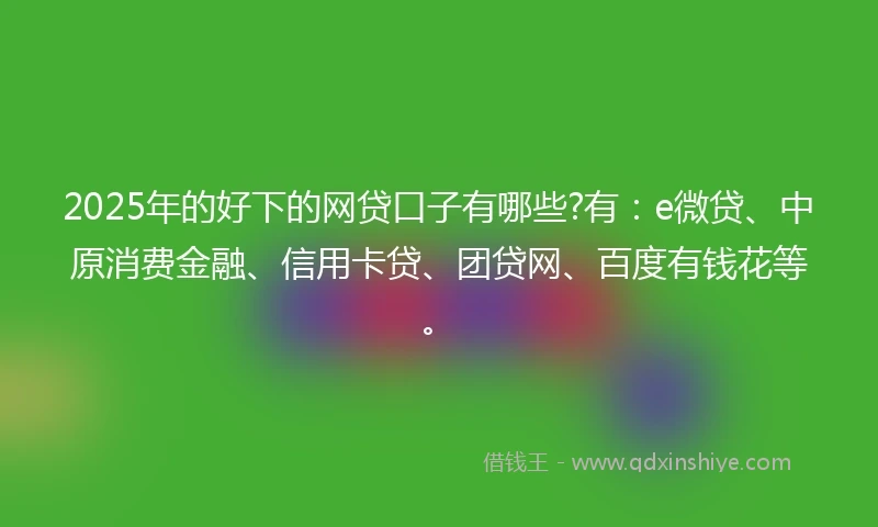 2025年的好下的网贷口子有哪些?有：e微贷、中原消费金融、信用卡贷、团贷网、百度有钱花等。
