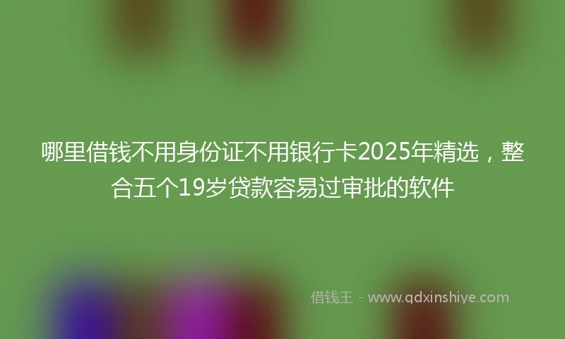 哪里借钱不用身份证不用银行卡2025年精选，整合五个19岁贷款容易过审批的软件