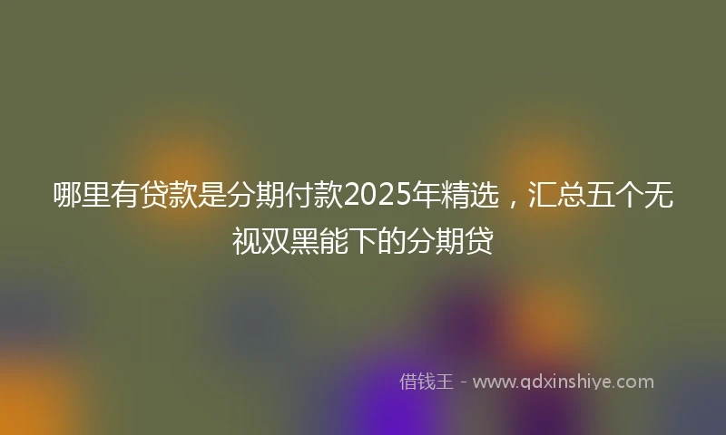 哪里有贷款是分期付款2025年精选，汇总五个无视双黑能下的分期贷