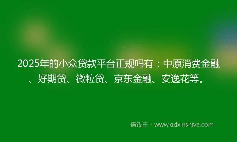 2025年的小众贷款平台正规吗有：中原消费金融、好期贷、微粒贷、京东金融、安逸花等。