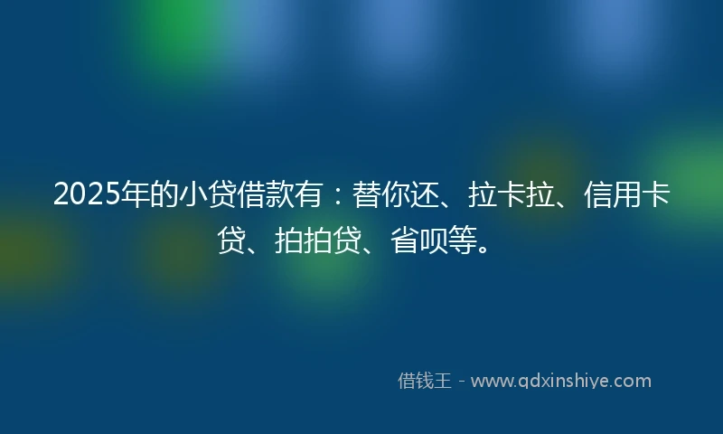 2025年的小贷借款有：替你还、拉卡拉、信用卡贷、拍拍贷、省呗等。