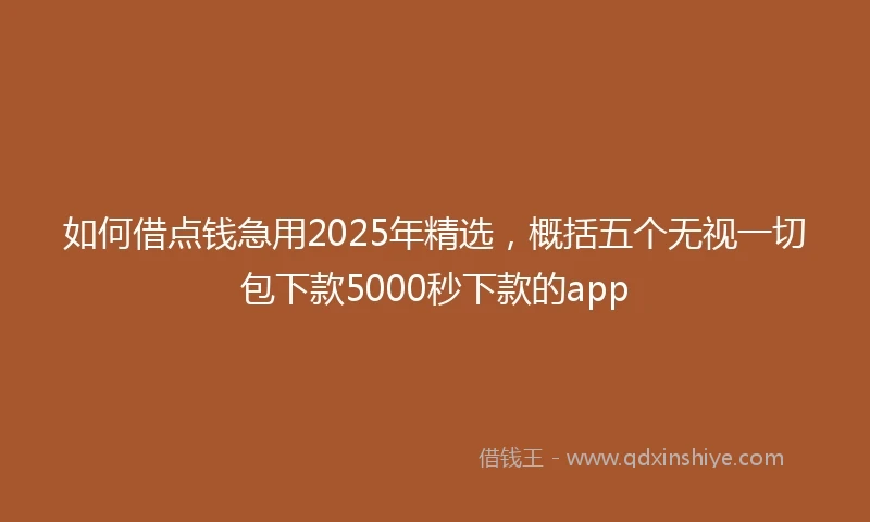 如何借点钱急用2025年精选，概括五个无视一切包下款5000秒下款的app