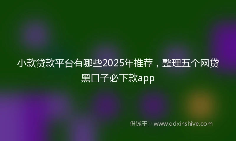 小款贷款平台有哪些2025年推荐，整理五个网贷黑口子必下款app