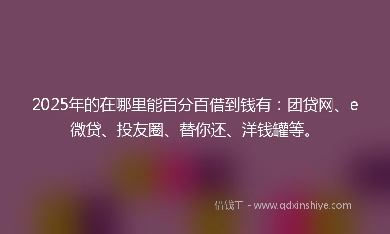 2025年的在哪里能百分百借到钱有:团贷网、e微贷、投友圈、替你还、洋钱罐等。