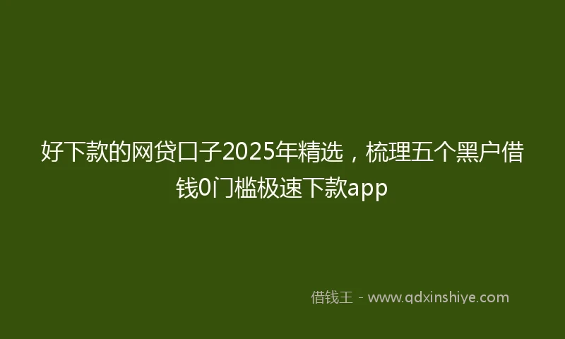好下款的网贷口子2025年精选,梳理五个黑户借钱0门槛极速下款app