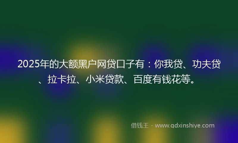 2025年的大额黑户网贷口子有：你我贷、功夫贷、拉卡拉、小米贷款、百度有钱花等。