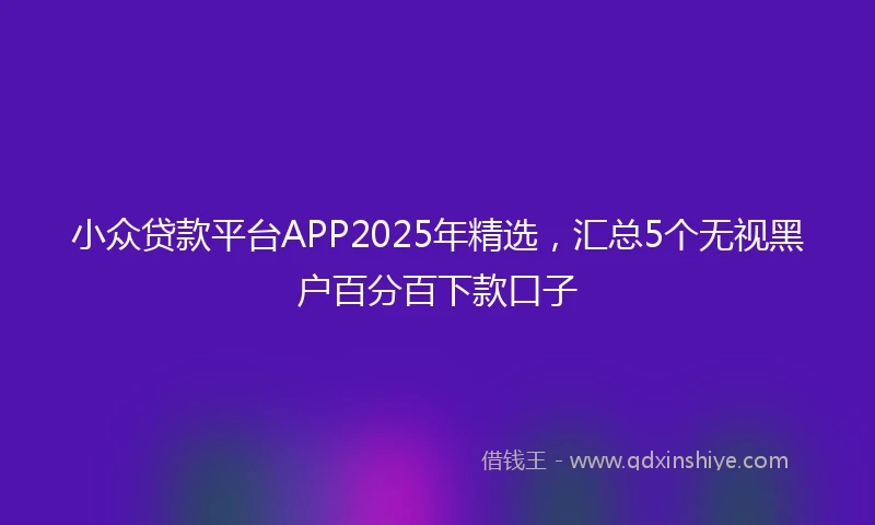 小众贷款平台APP2025年精选，汇总5个无视黑户百分百下款口子