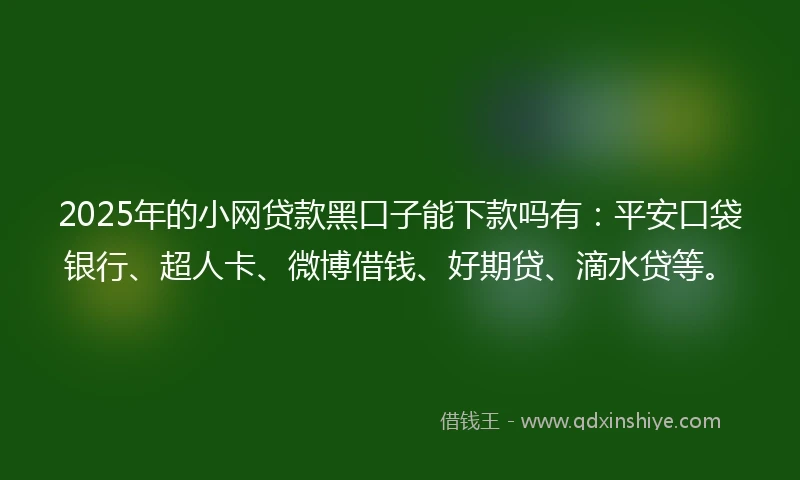 2025年的小网贷款黑口子能下款吗有：平安口袋银行、超人卡、微博借钱、好期贷、滴水贷等。