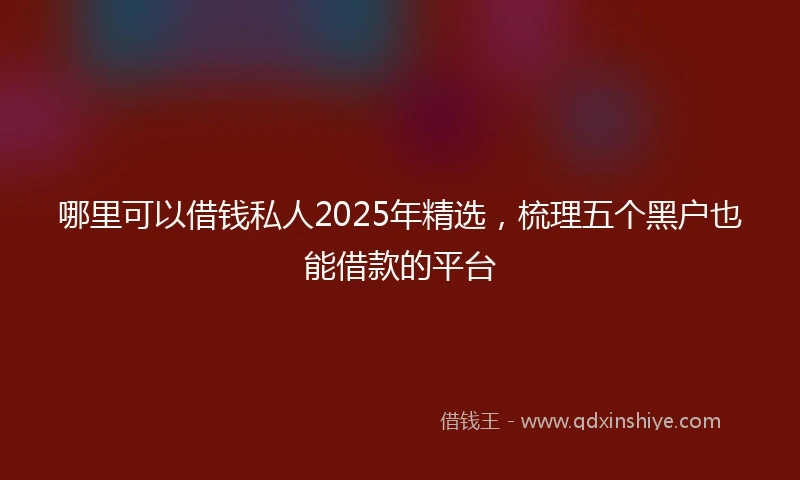 哪里可以借钱私人2025年精选，梳理五个黑户也能借款的平台