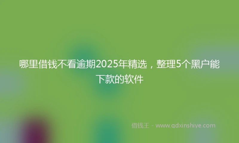 哪里借钱不看逾期2025年精选，整理5个黑户能下款的软件