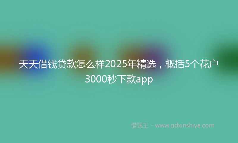 天天借钱贷款怎么样2025年精选，概括5个花户3000秒下款app