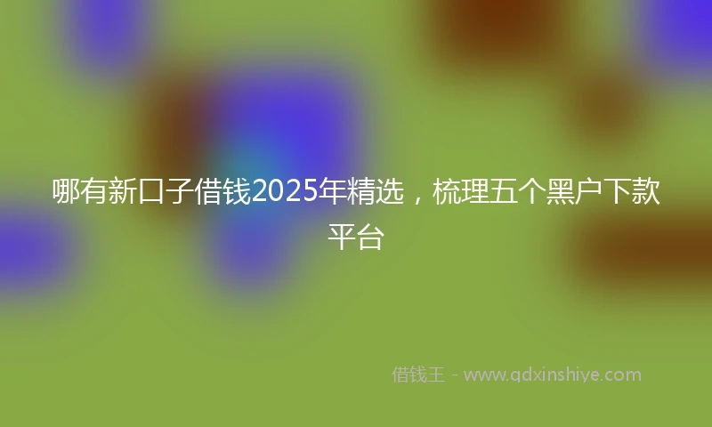 哪有新口子借钱2025年精选，梳理五个黑户下款平台