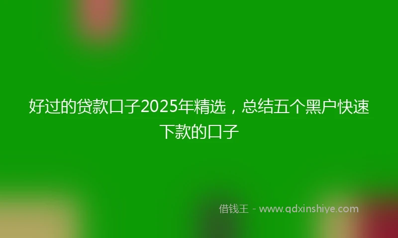 好过的贷款口子2025年精选，总结五个黑户快速下款的口子