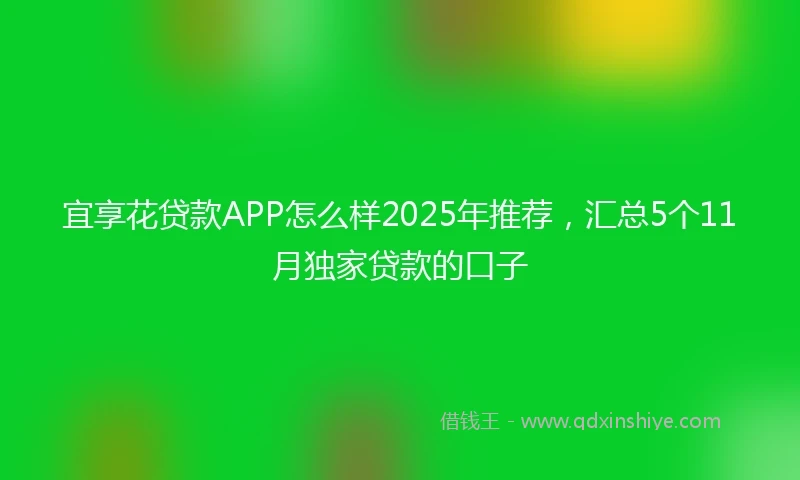 宜享花贷款APP怎么样2025年推荐，汇总5个11月独家贷款的口子