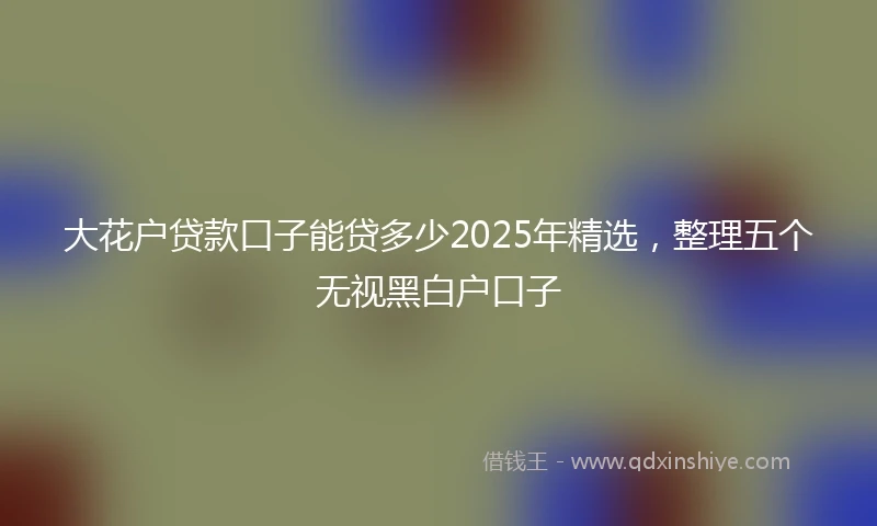 大花户贷款口子能贷多少2025年精选，整理五个无视黑白户口子