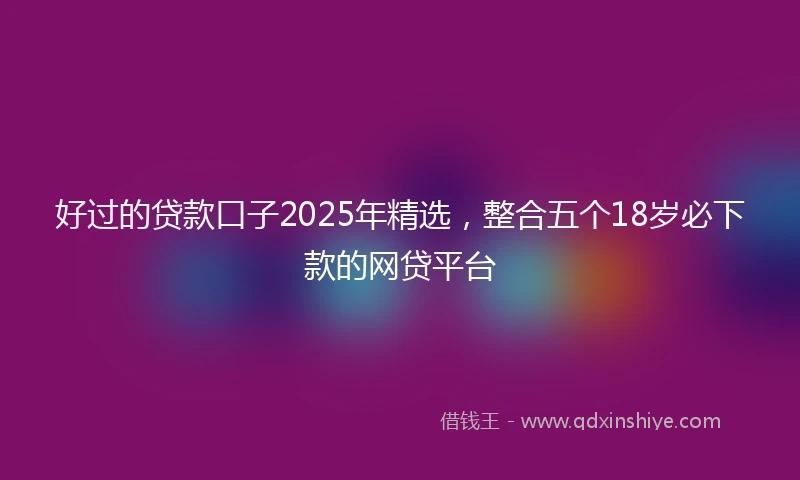 好过的贷款口子2025年精选，整合五个18岁必下款的网贷平台