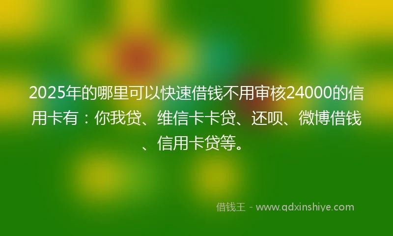 2025年的哪里可以快速借钱不用审核24000的信用卡有：你我贷、维信卡卡贷、还呗、微博借钱、信用卡贷等。