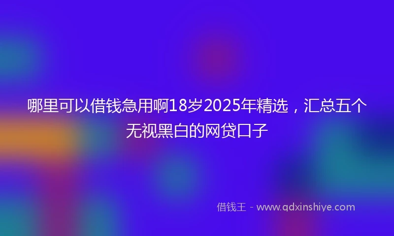 哪里可以借钱急用啊18岁2025年精选，汇总五个无视黑白的网贷口子