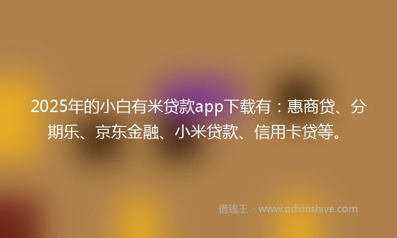 2025年的小白有米贷款app下载有：惠商贷、分期乐、京东金融、小米贷款、信用卡贷等。