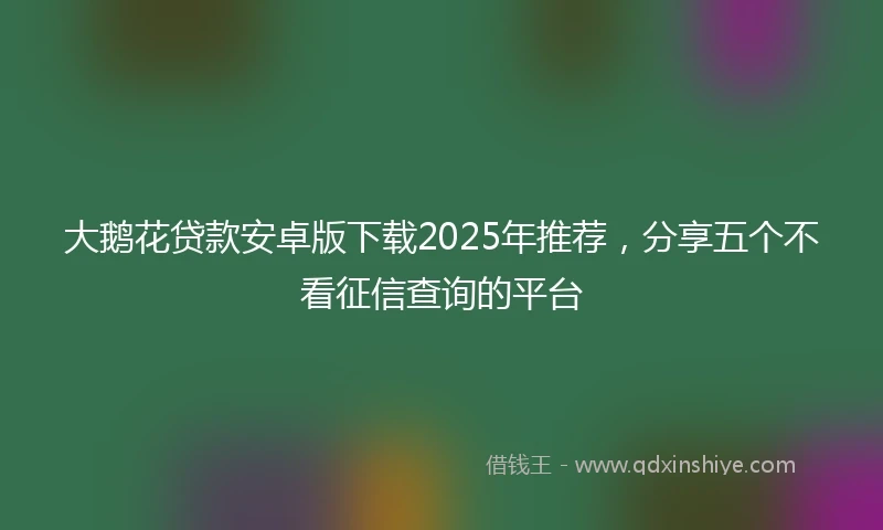 大鹅花贷款安卓版下载2025年推荐,分享五个不看征信查询的平台
