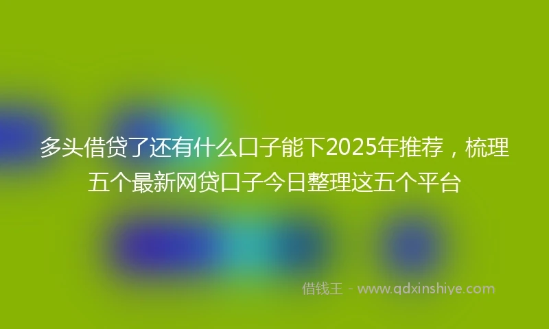多头借贷了还有什么口子能下2025年推荐，梳理五个最新网贷口子今日整理这五个平台
