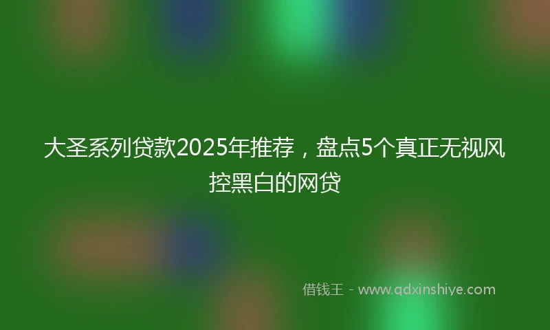 大圣系列贷款2025年推荐，盘点5个真正无视风控黑白的网贷