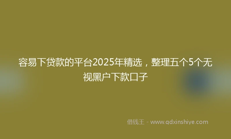 容易下贷款的平台2025年精选，整理五个5个无视黑户下款口子