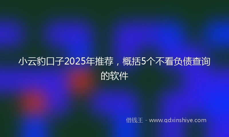 小云豹口子2025年推荐，概括5个不看负债查询的软件