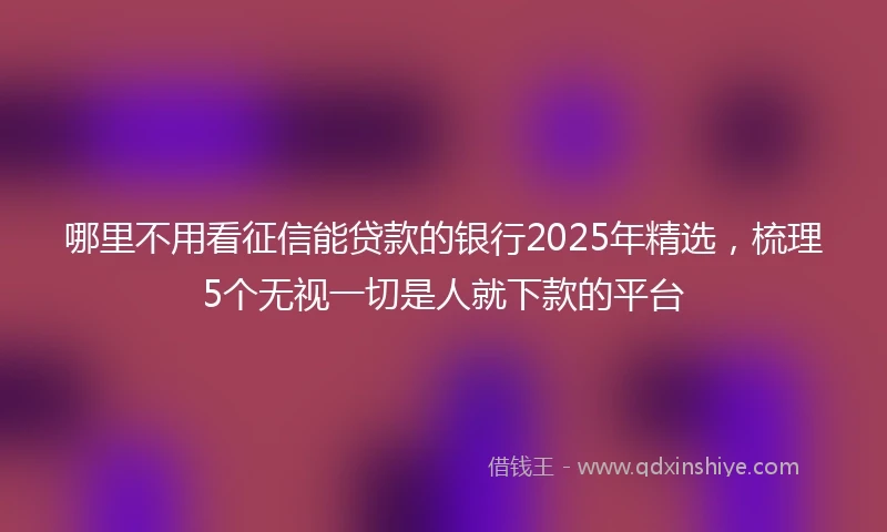 哪里不用看征信能贷款的银行2025年精选，梳理5个无视一切是人就下款的平台