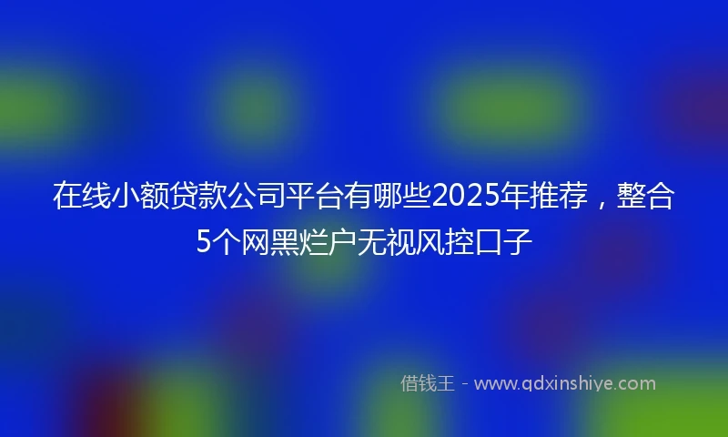 在线小额贷款公司平台有哪些2025年推荐，整合5个网黑烂户无视风控口子