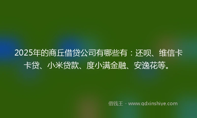2025年的商丘借贷公司有哪些有：还呗、维信卡卡贷、小米贷款、度小满金融、安逸花等。