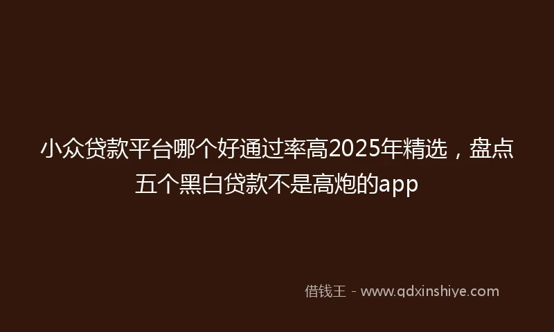 小众贷款平台哪个好通过率高2025年精选，盘点五个黑白贷款不是高炮的app