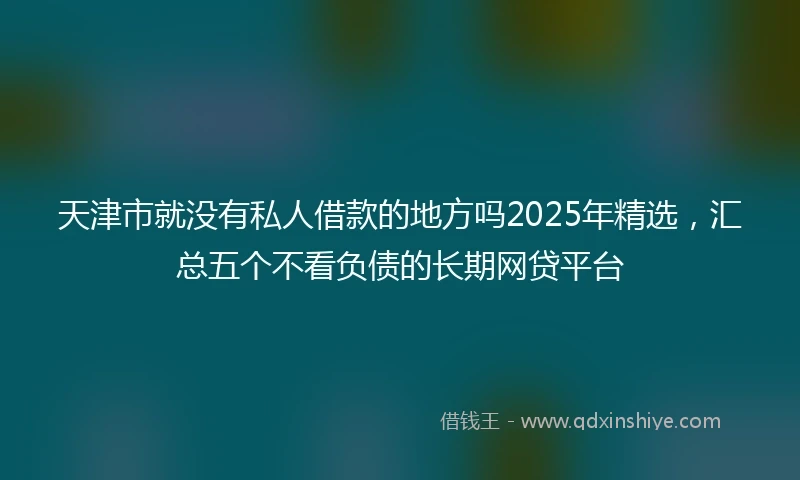 天津市就没有私人借款的地方吗2025年精选，汇总五个不看负债的长期网贷平台