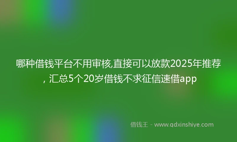 哪种借钱平台不用审核,直接可以放款2025年推荐，汇总5个20岁借钱不求征信速借app