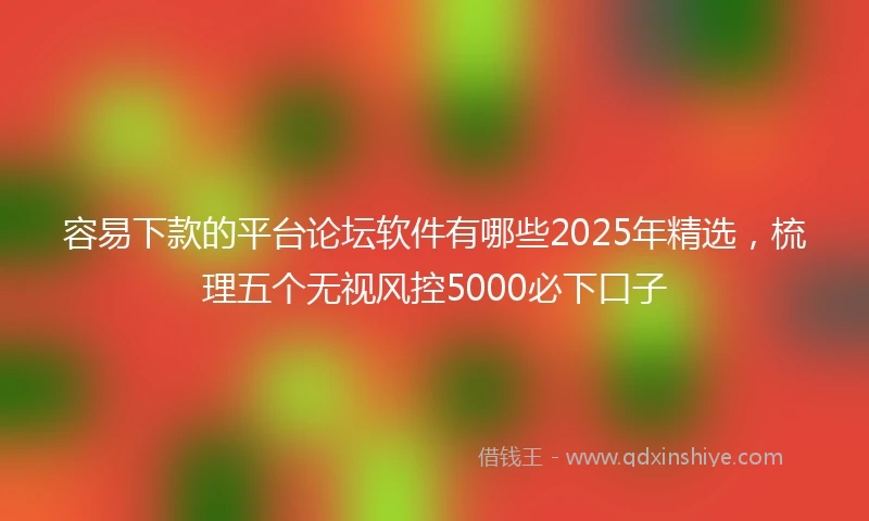 容易下款的平台论坛软件有哪些2025年精选，梳理五个无视风控5000必下口子