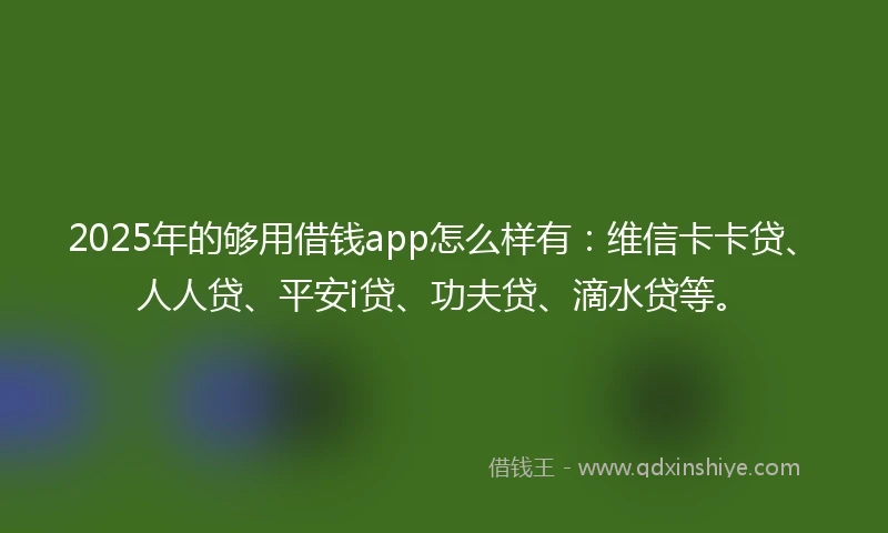 2025年的够用借钱app怎么样有：维信卡卡贷、人人贷、平安i贷、功夫贷、滴水贷等。