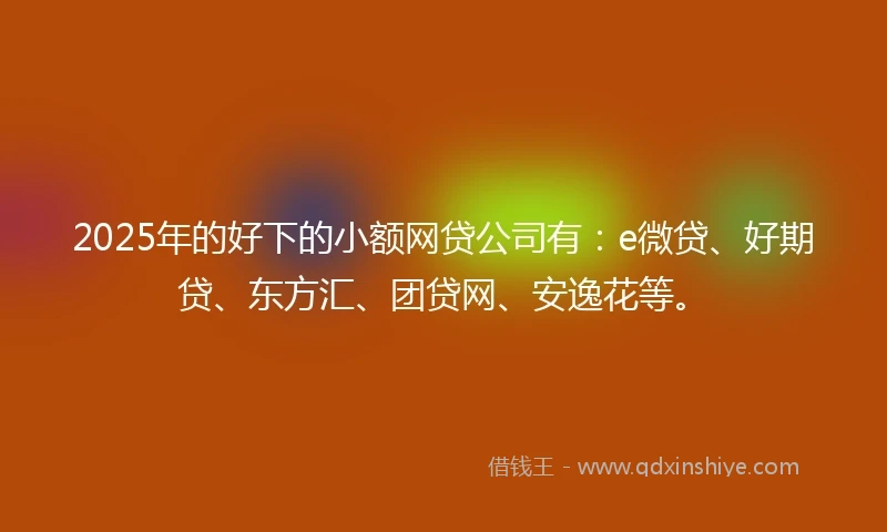2025年的好下的小额网贷公司有：e微贷、好期贷、东方汇、团贷网、安逸花等。