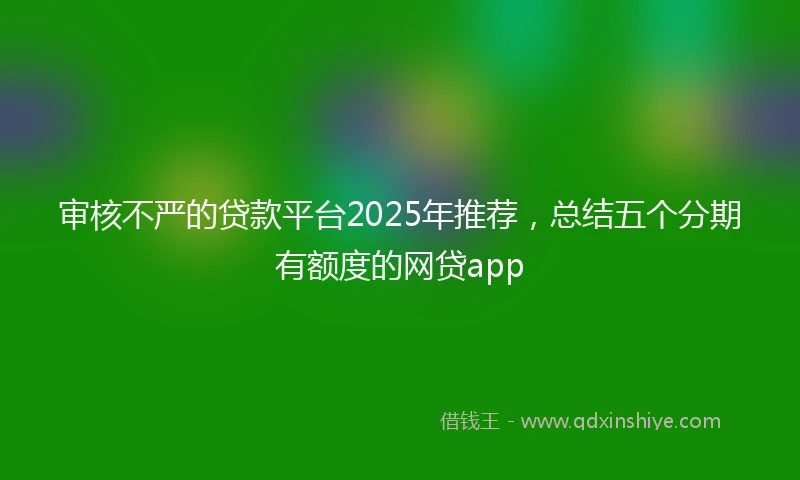 审核不严的贷款平台2025年推荐，总结五个分期有额度的网贷app