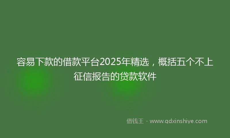 容易下款的借款平台2025年精选，概括五个不上征信报告的贷款软件