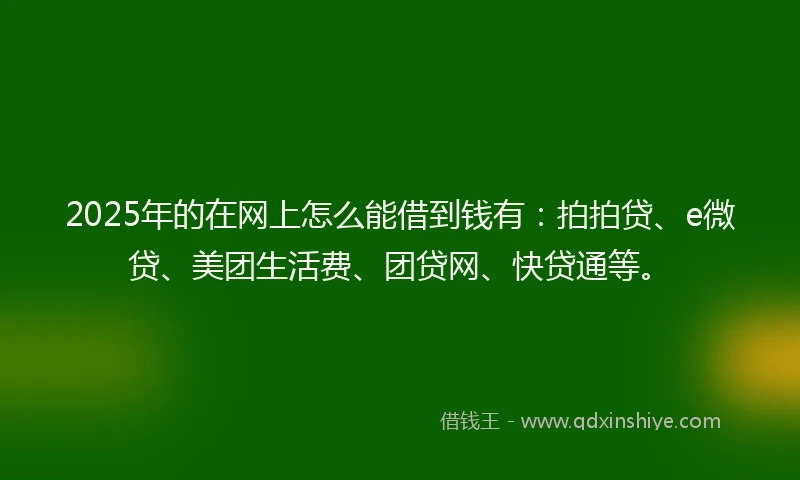 2025年的在网上怎么能借到钱有：拍拍贷、e微贷、美团生活费、团贷网、快贷通等。