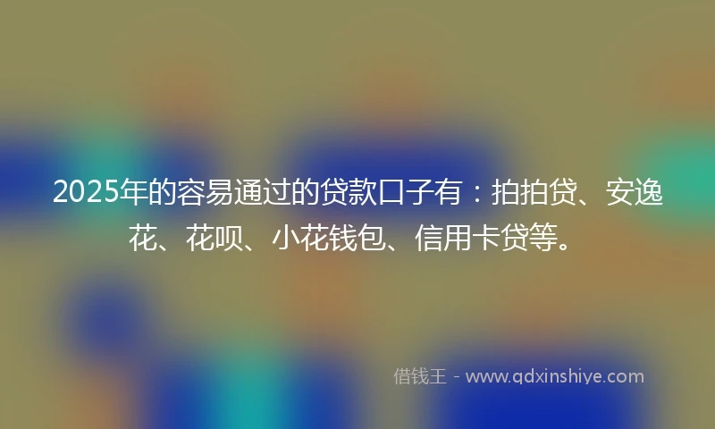 2025年的容易通过的贷款口子有：拍拍贷、安逸花、花呗、小花钱包、信用卡贷等。