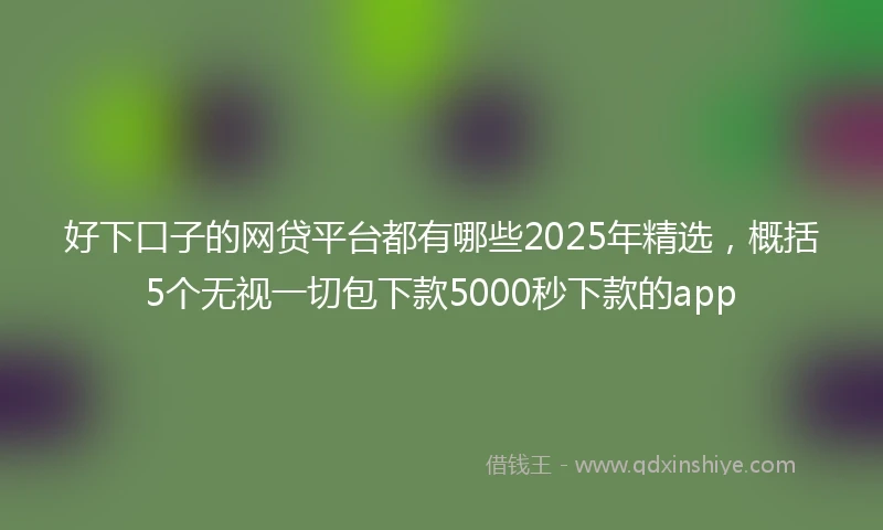 好下口子的网贷平台都有哪些2025年精选，概括5个无视一切包下款5000秒下款的app