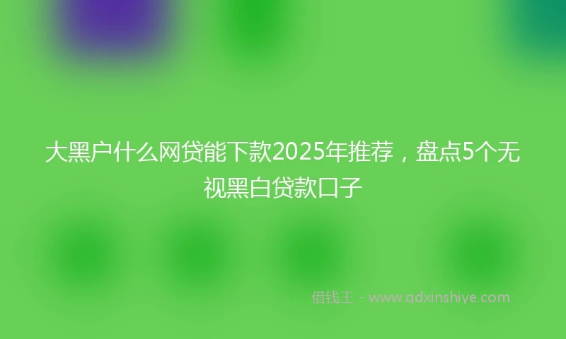 大黑户什么网贷能下款2025年推荐，盘点5个无视黑白贷款口子
