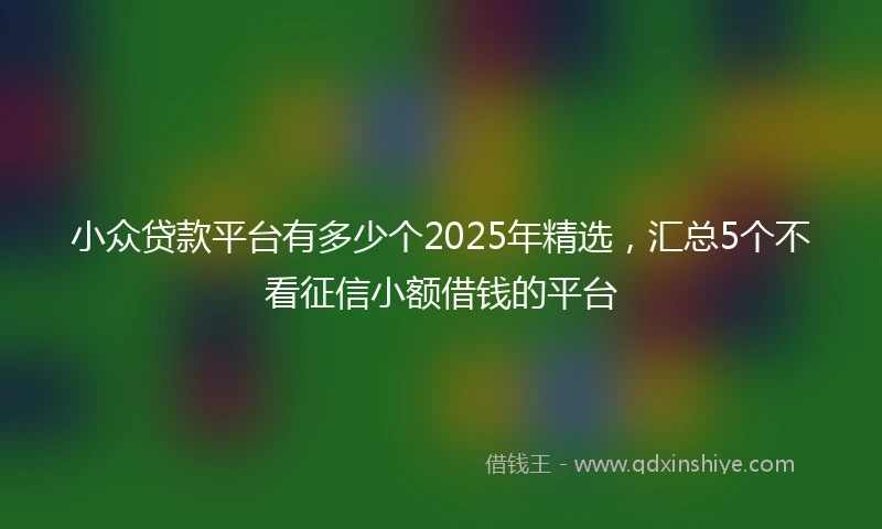 小众贷款平台有多少个2025年精选，汇总5个不看征信小额借钱的平台