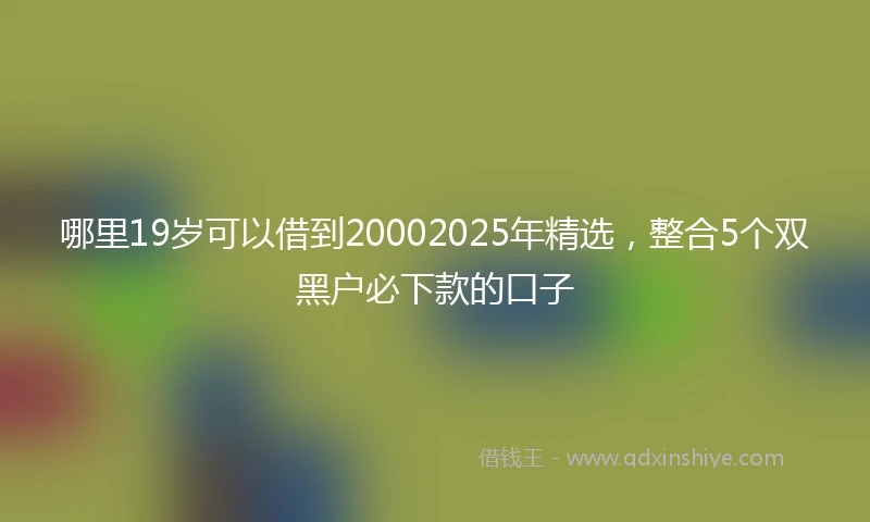 哪里19岁可以借到20002025年精选，整合5个双黑户必下款的口子