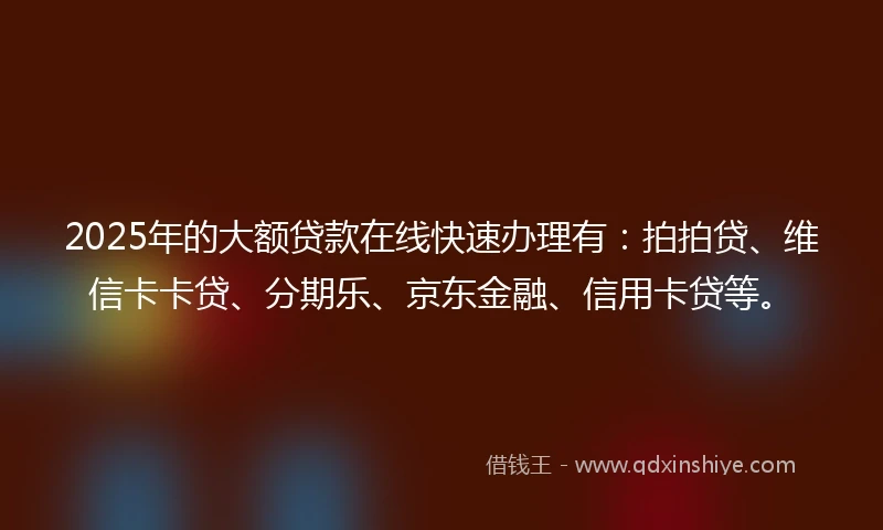 2025年的大额贷款在线快速办理有：拍拍贷、维信卡卡贷、分期乐、京东金融、信用卡贷等。