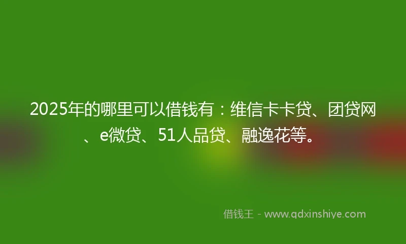 2025年的哪里可以借钱有：维信卡卡贷、团贷网、e微贷、51人品贷、融逸花等。