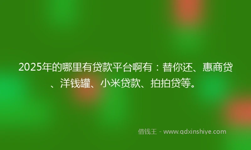 2025年的哪里有贷款平台啊有：替你还、惠商贷、洋钱罐、小米贷款、拍拍贷等。